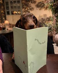 Tom Leicester tweet media