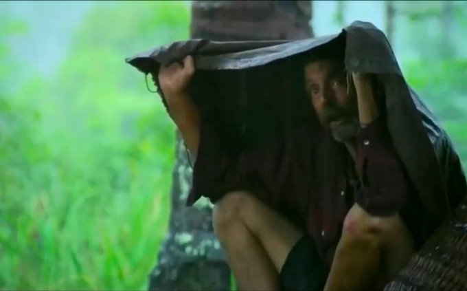 Lyle 🏝️ tweet media