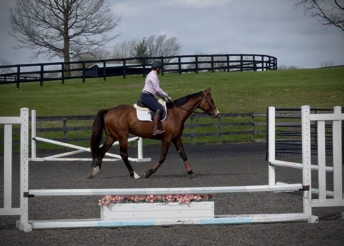 Jen Roytz tweet media