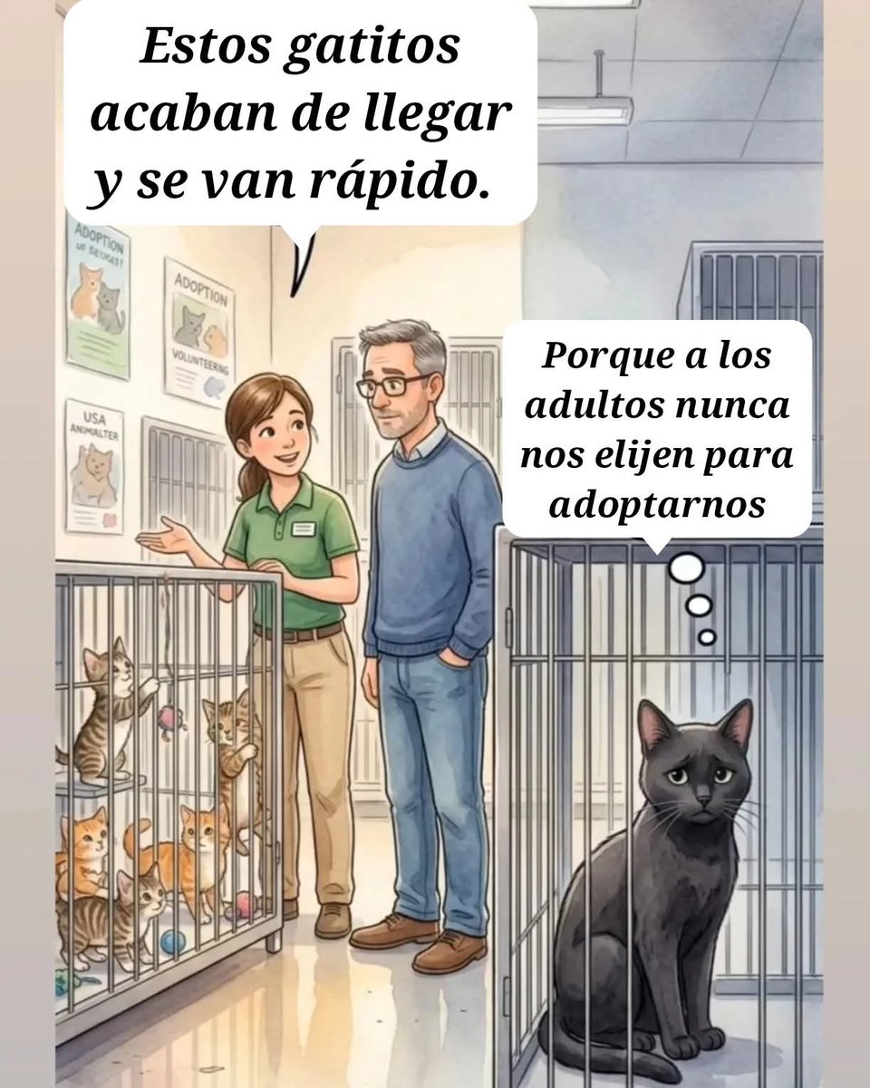 Guate Unida por los Animales tweet media