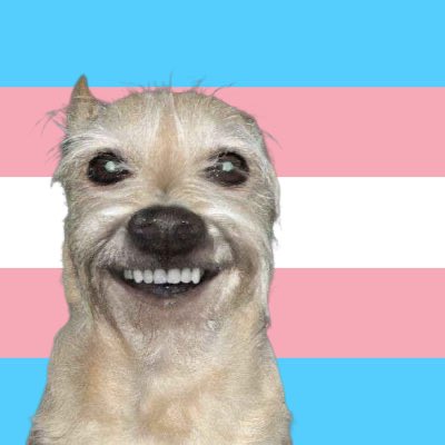 OV-104 (Atlantis) tweet media