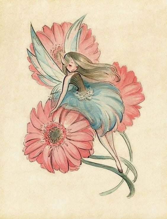 softly magical°🦢♡ tweet media