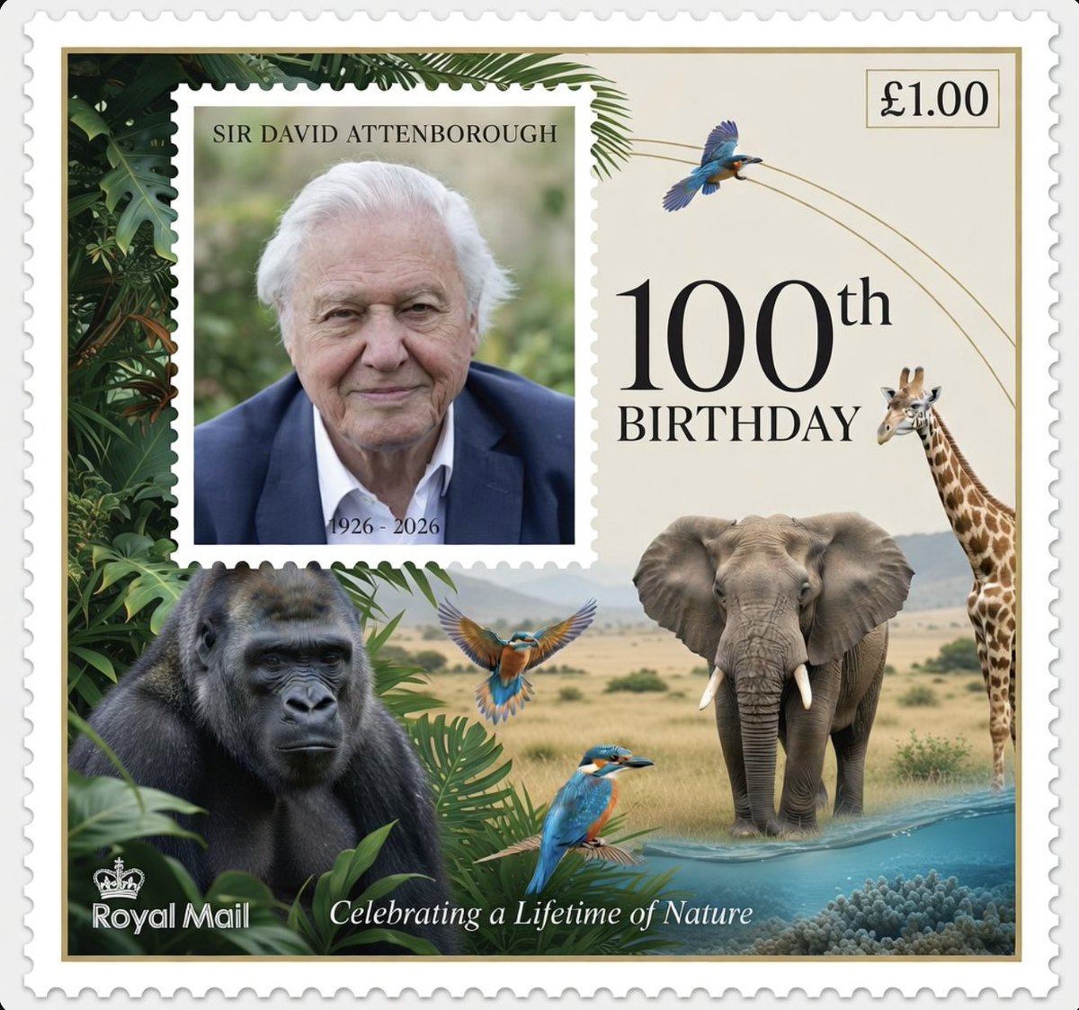 Karin Schroeck-Singh tweet media