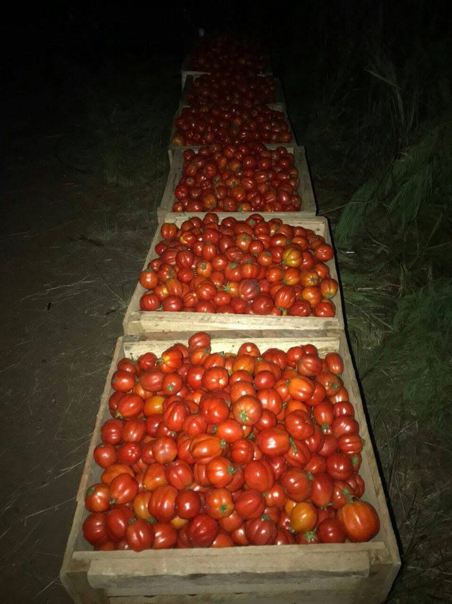 MARK OFORIQUAYE tweet media