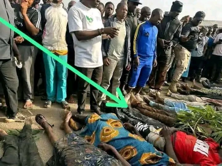 Mahfuz Rabiu Zakaria tweet media