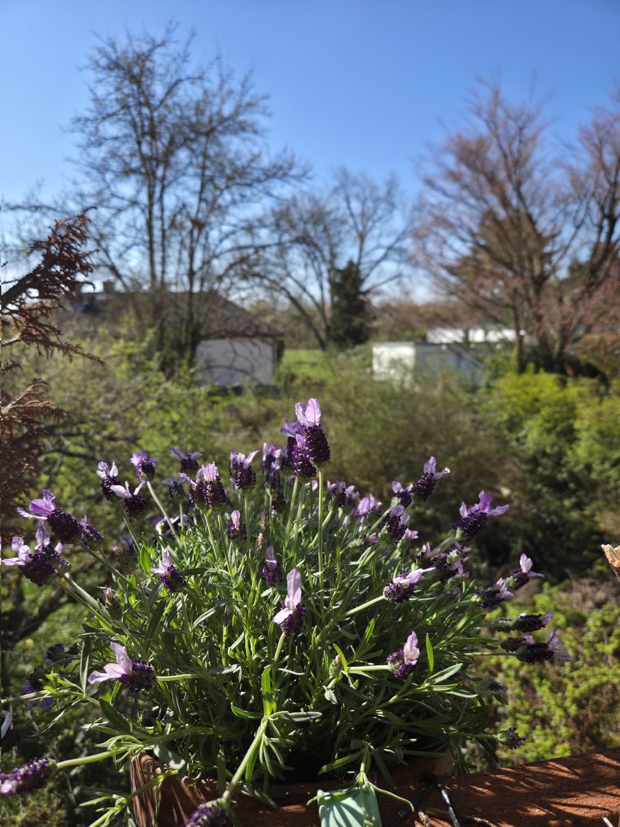 lenny 🥷 tweet media