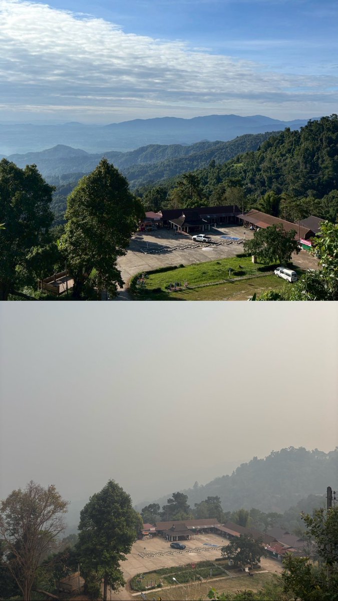 ֹ ˚₊‧ ୨୧⋅j0lly ୧ ‧₊˚ tweet media