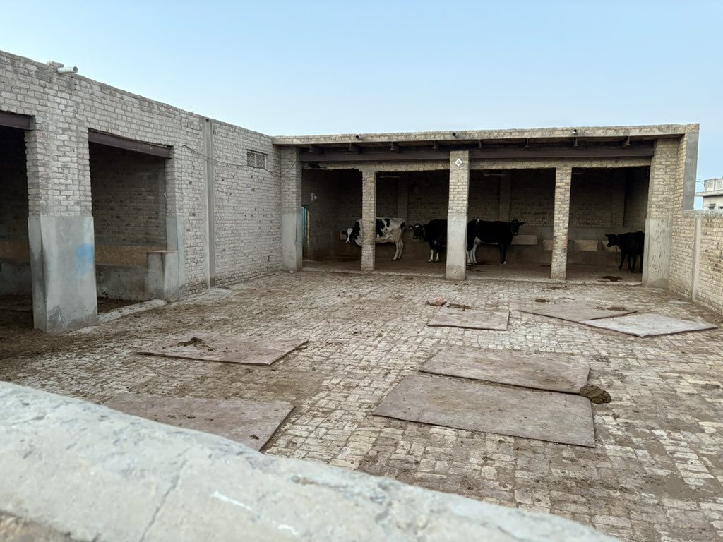 Hiro Kay（比呂啓） tweet media