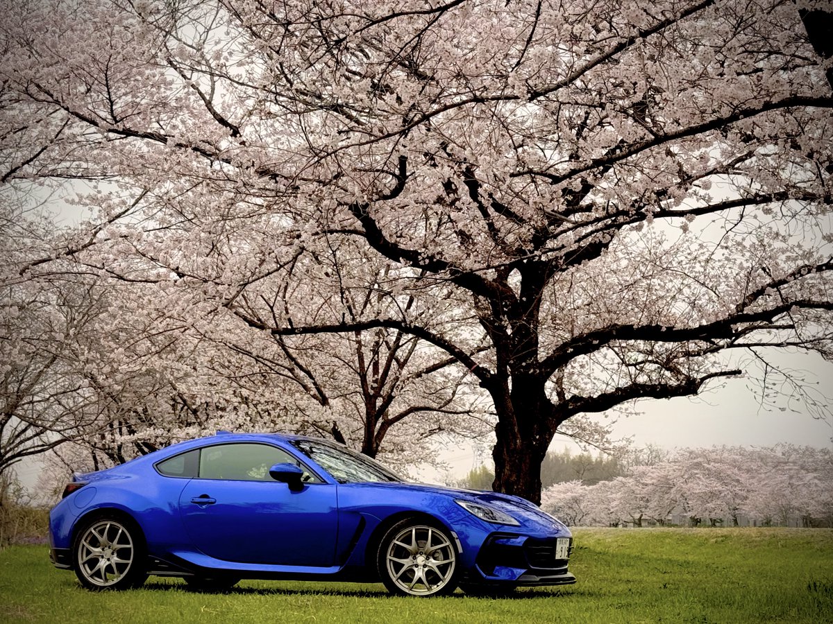 ぼーろ🐔😈🐾🤍💅🤡 tweet media