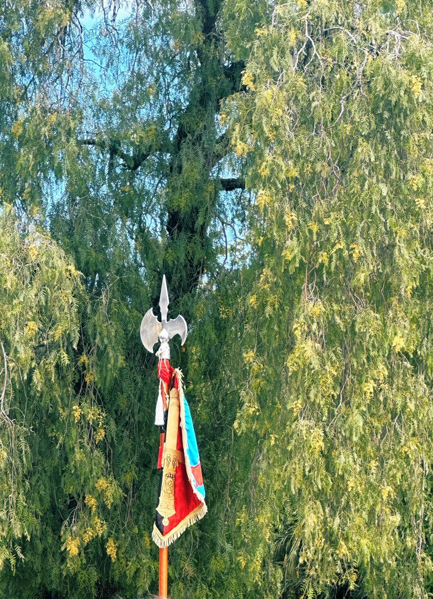 Acompañantes tweet media