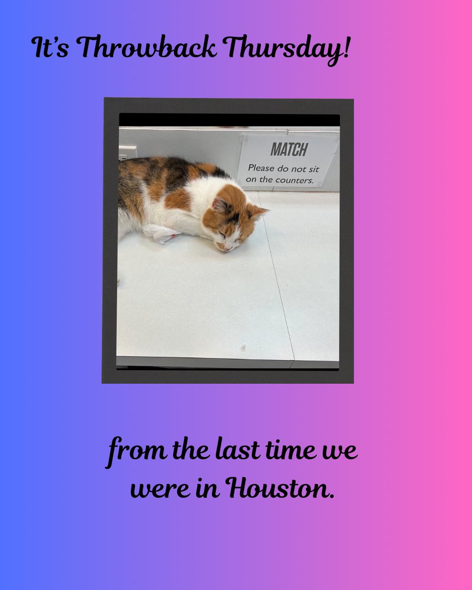 The Amazing AcroCats tweet media