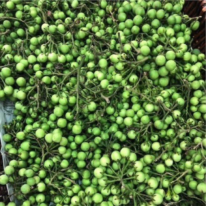 Kweku Nyame 🇬🇭🇬🇭 tweet media