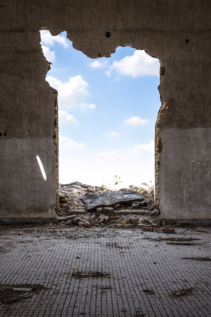 وحید شمسایی tweet media