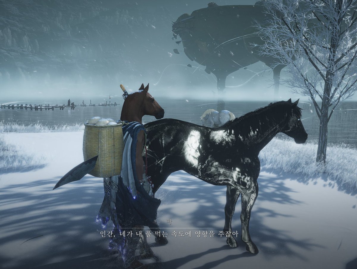사탄복(혈통 좋은 명馬) tweet media