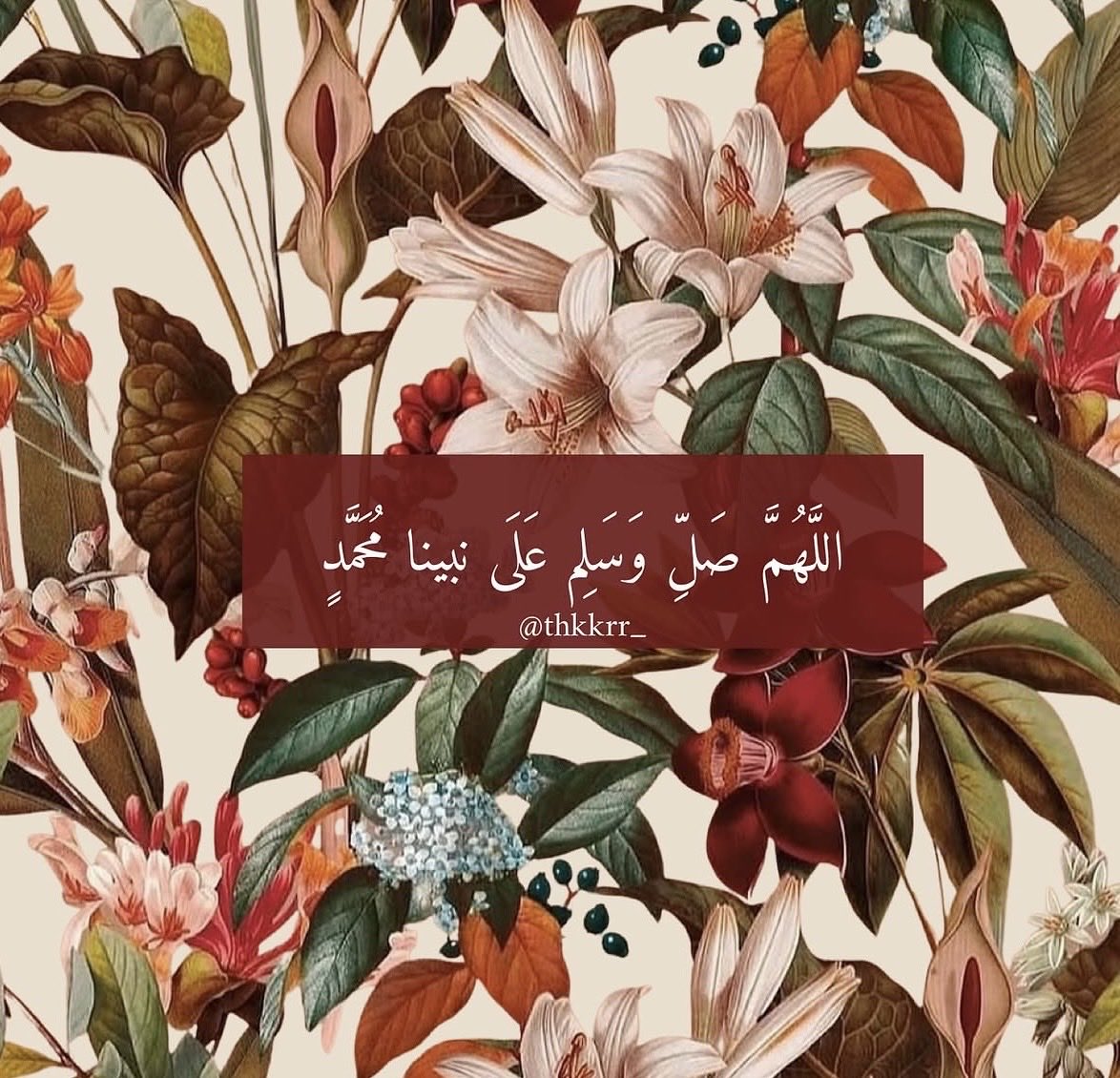 Prof Manal Madini tweet media