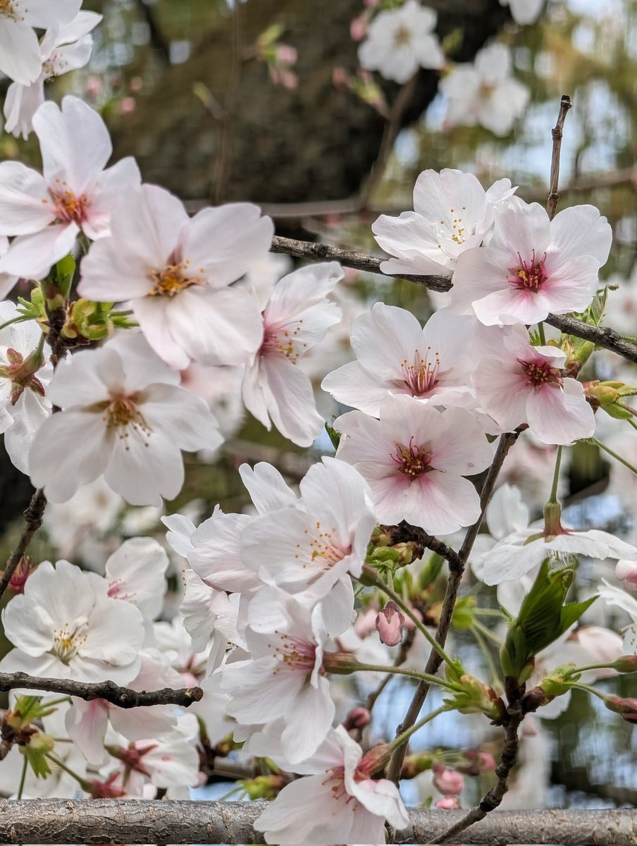 健人(けんてぃー👑) tweet media