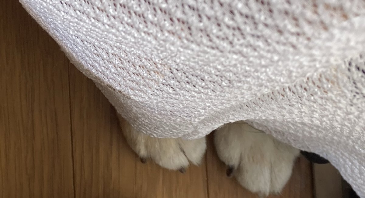 ちぃ@🩵💚 tweet media