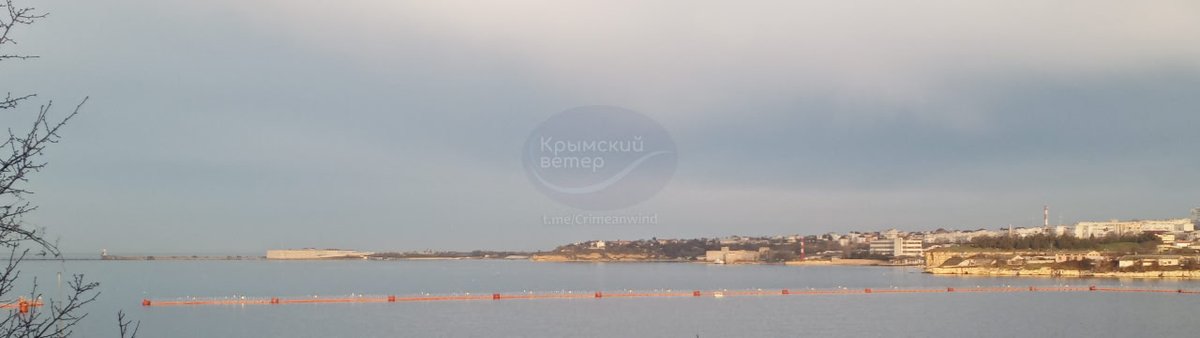 raging545 tweet media