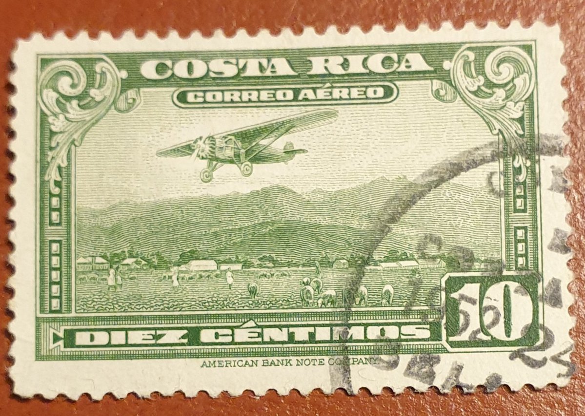 Shane McDonnell tweet media