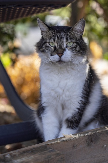 Rosy Escobedo tweet media