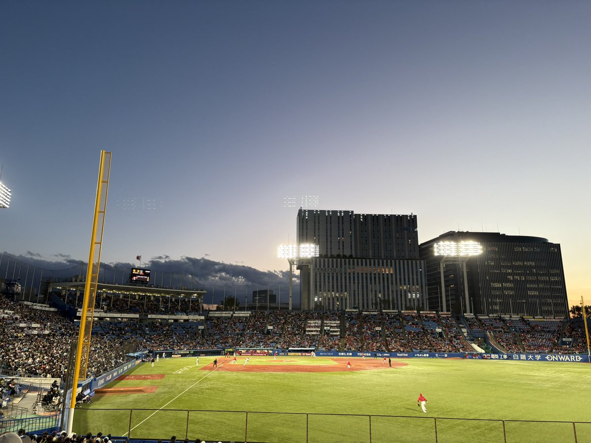 アミマンマ❣️ tweet media