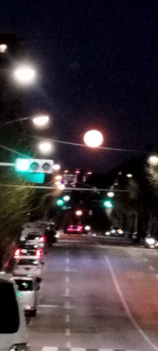 桃月（旧ピンクムーン） tweet media