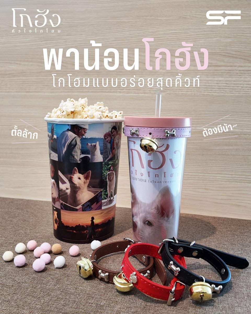 SF Cinema tweet media