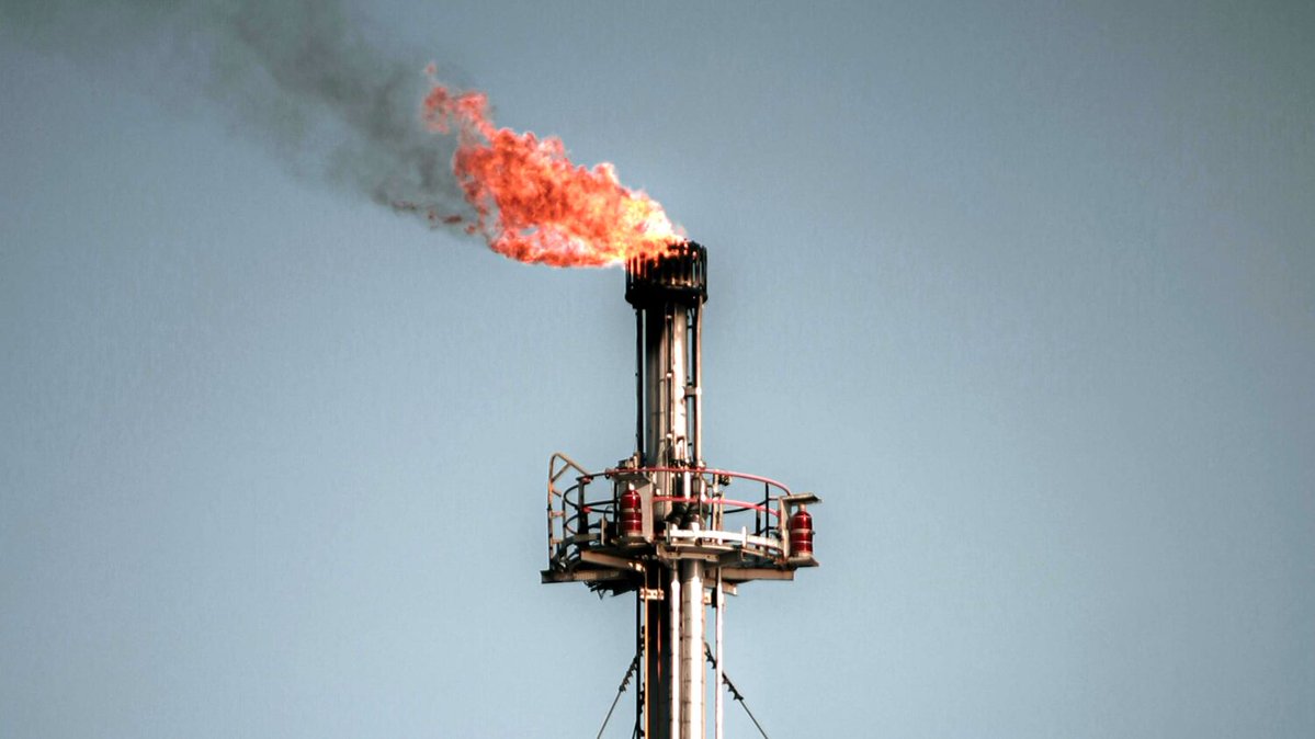 Boulevard Voltaire tweet media