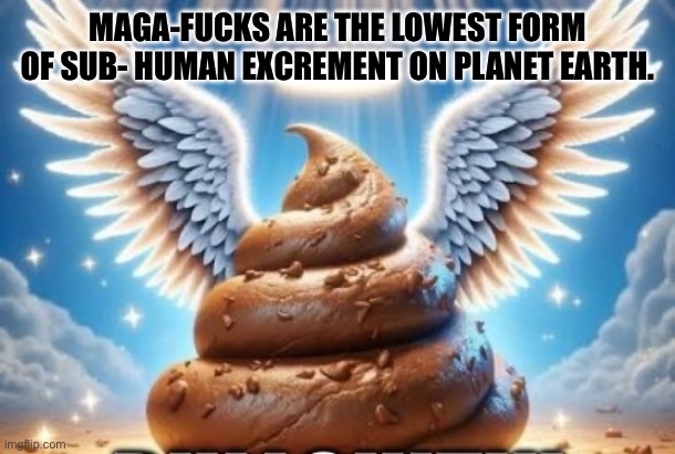 Terrell D tweet media