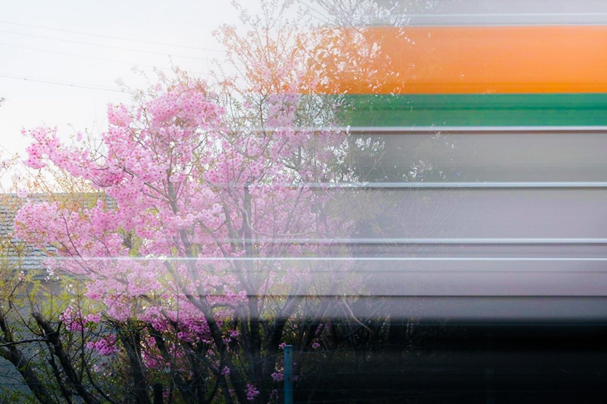 、、、 tweet media