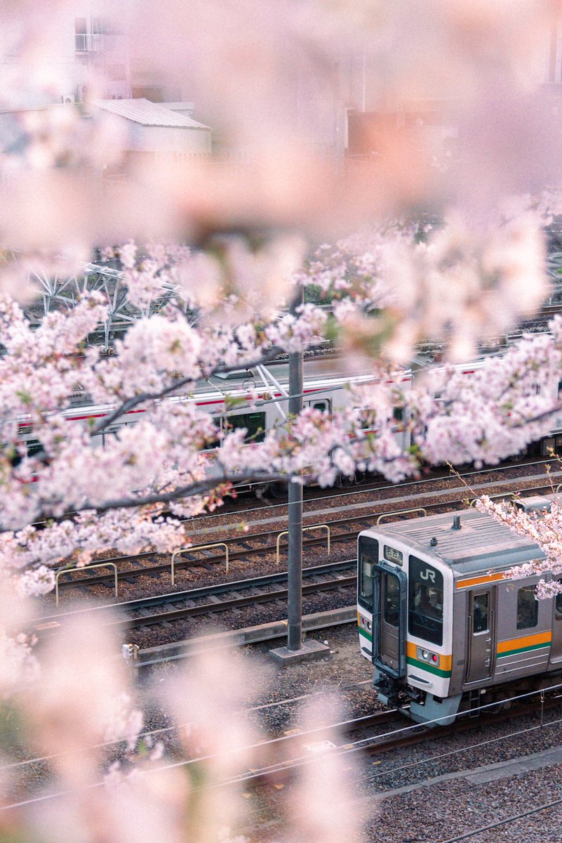 、、、 tweet media