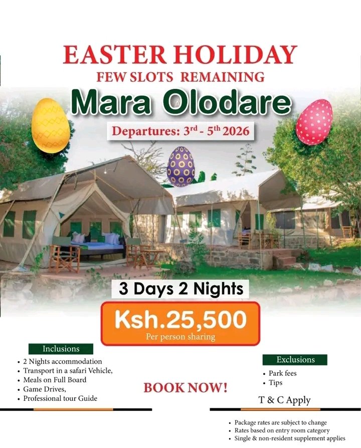 Viutravel_'s tweet photo. πΏπ EASTER GETAWAY LOADINGβ¦ FEW SLOTS LEFT! ππΏ
β
οΈ3 Days & 2 Nights from Ksh.25,500 pps
βοΈπππ₯π₯/ππ‘πππ¬ππ©π©: +254140530344
#EasterGetaway #Maasaimara #Safaris #TravelKenya #SafariExperience
~OM https://t.co/46BbrJ9Ifj