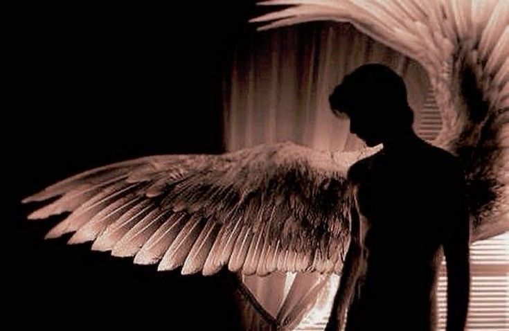 𝑀𝐼𝐶𝐻𝐴𝐸𝐿 ℳ𝑂𝑅𝑁𝐼𝑁𝐺𝑆𝑇𝐴𝑅 tweet media