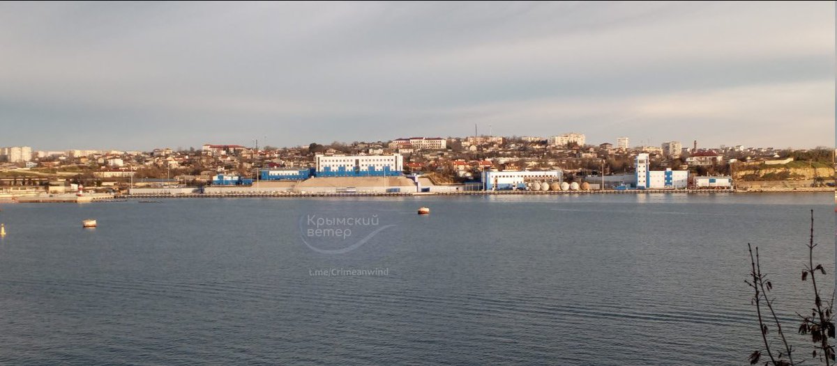 raging545 tweet media