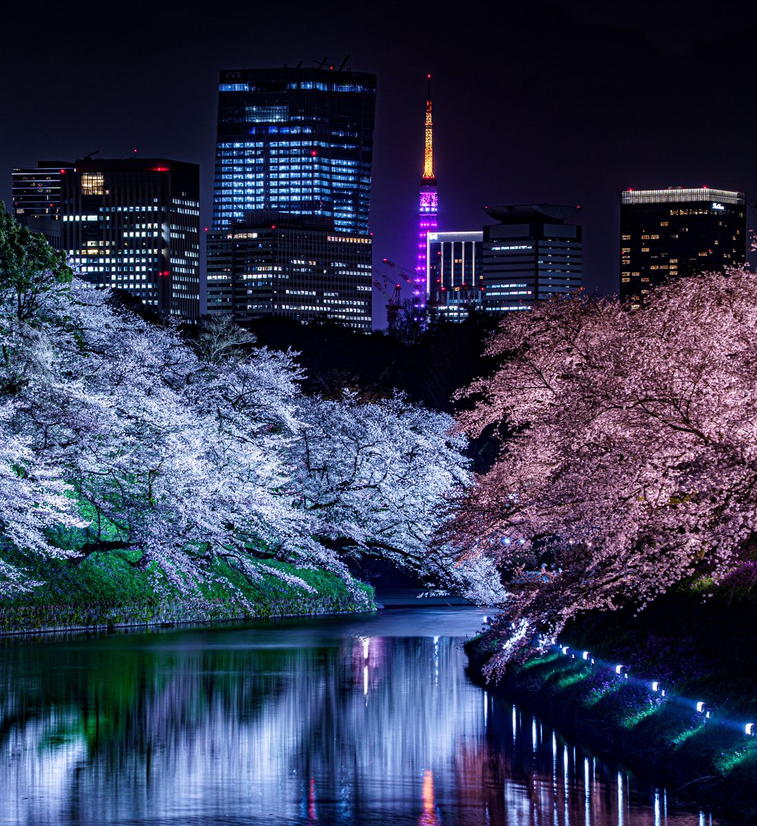 夜🌉@夜景撮影 tweet media