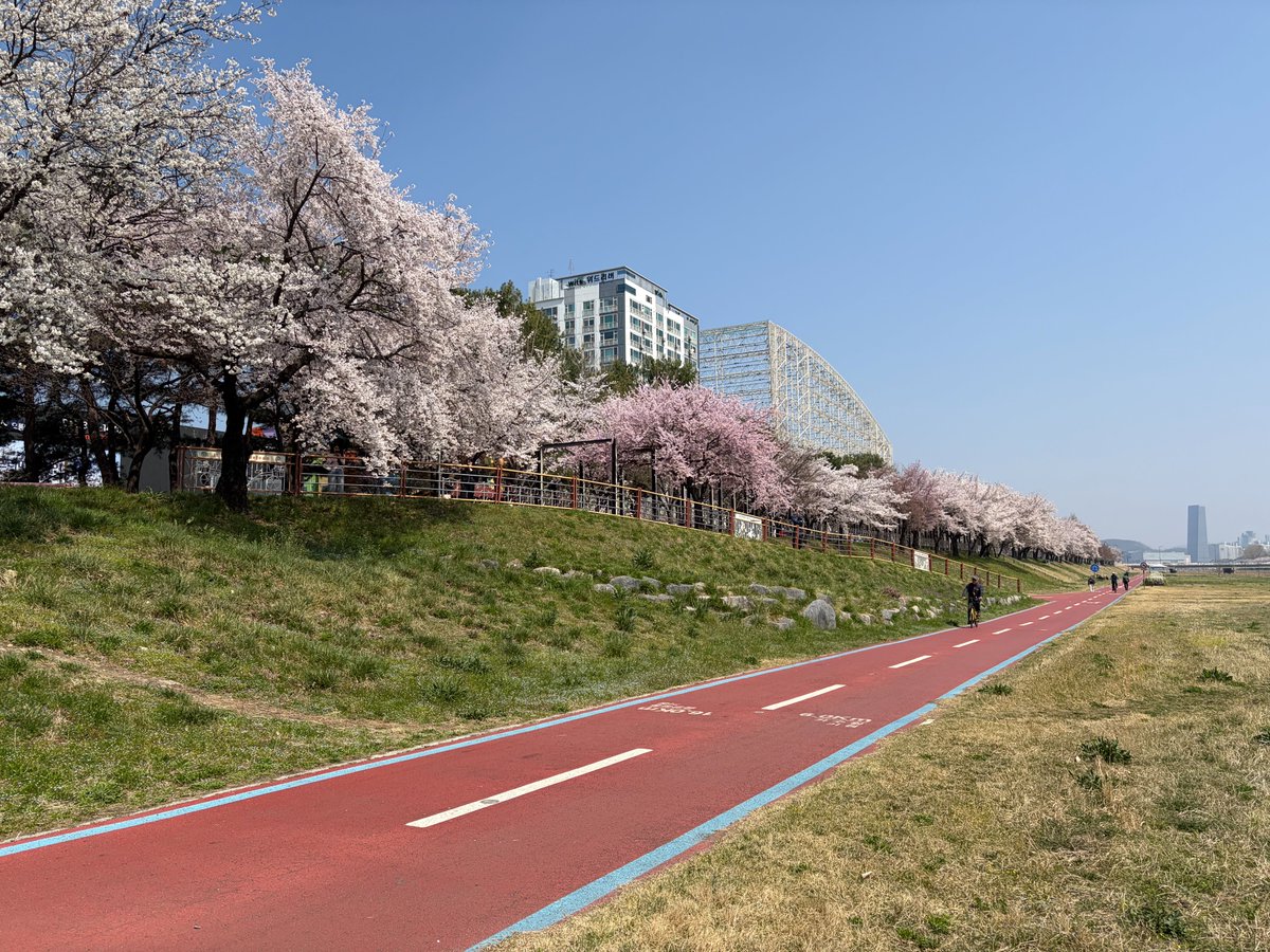 마음 풀어요 tweet media