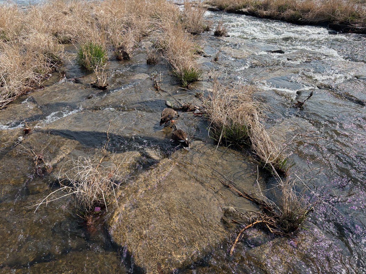 마음 풀어요 tweet media