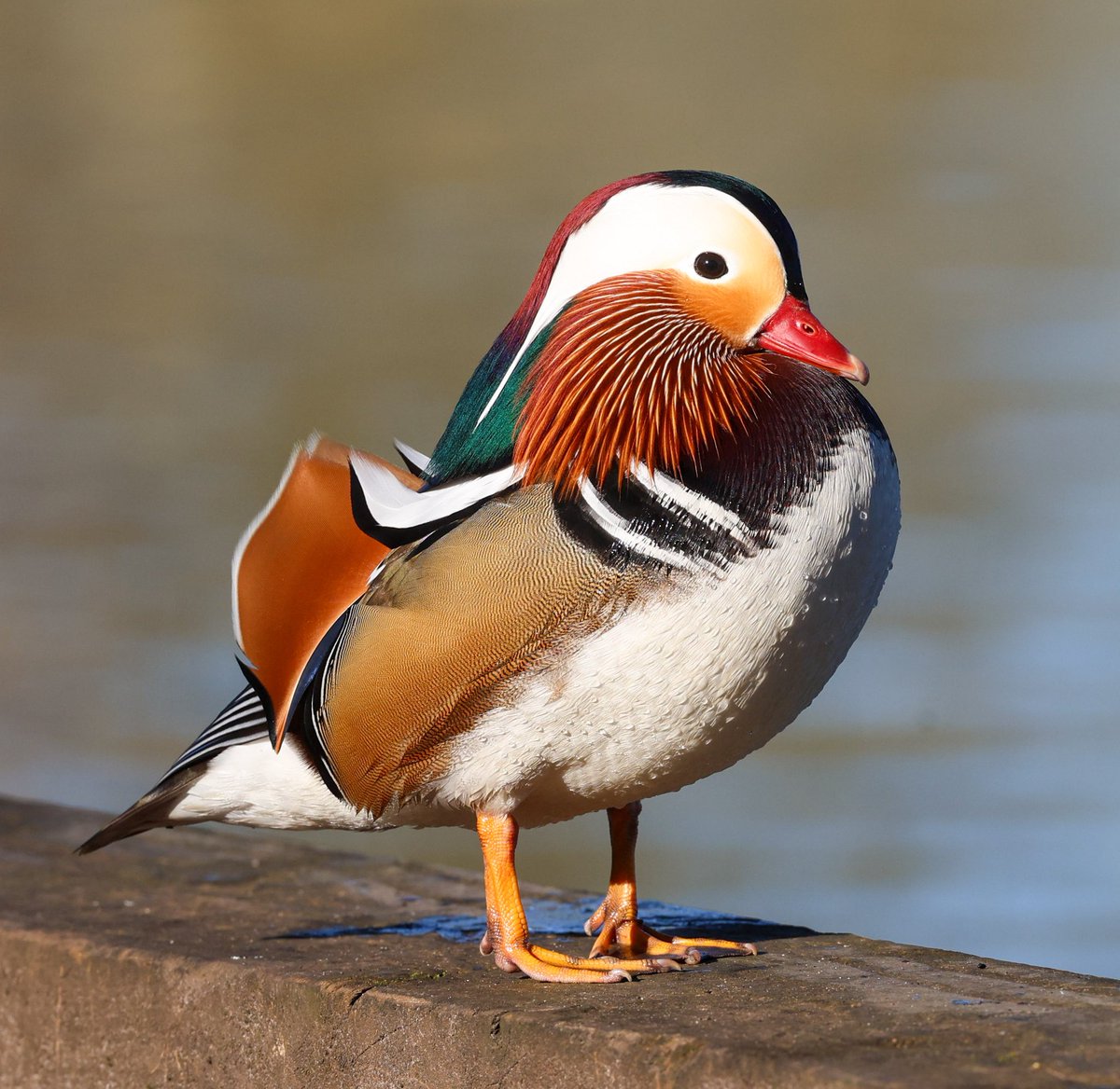 Paul Gray tweet media