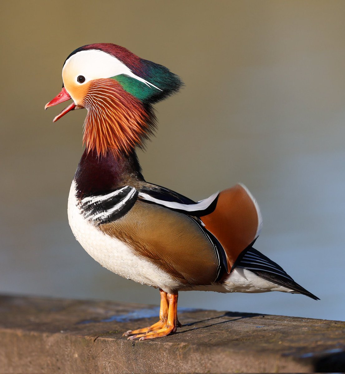 Paul Gray tweet media