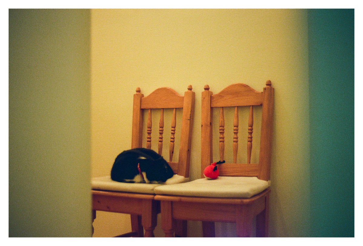 Стас Юрченко tweet media