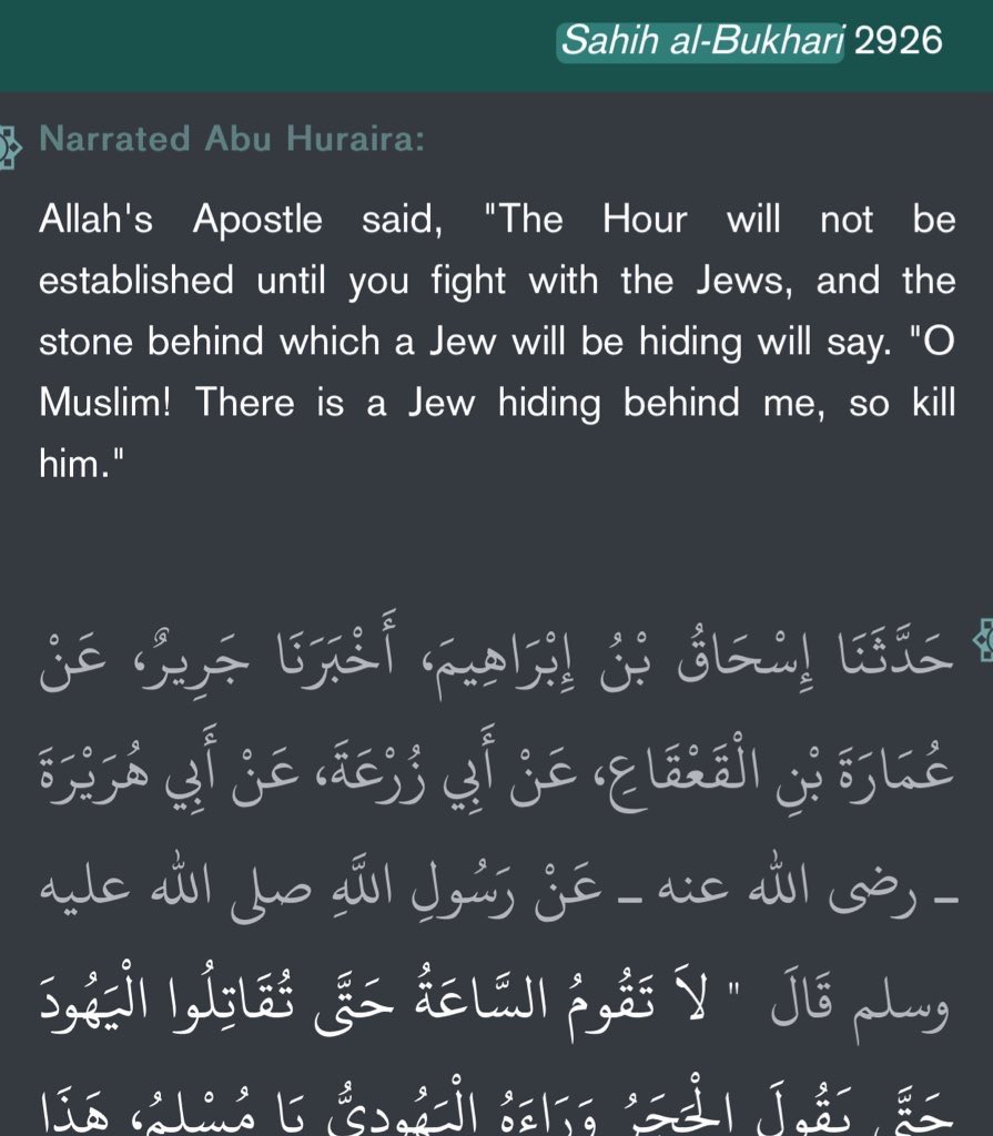 Jon Vacum 🎗️🦁 🇮🇷 🇮🇱 🇺🇸 tweet media