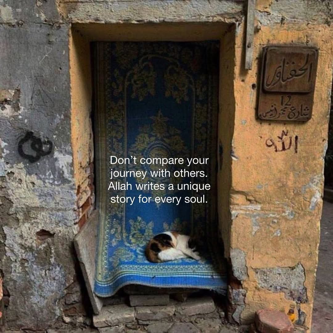 حياء sharmin tweet media