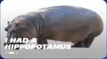 HippoLeaks tweet media