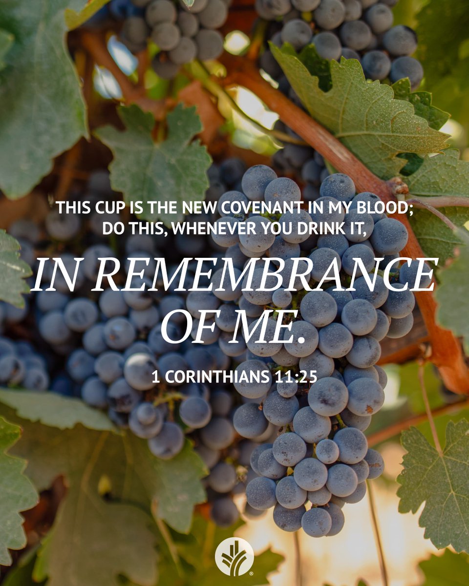 Our Daily Bread tweet media