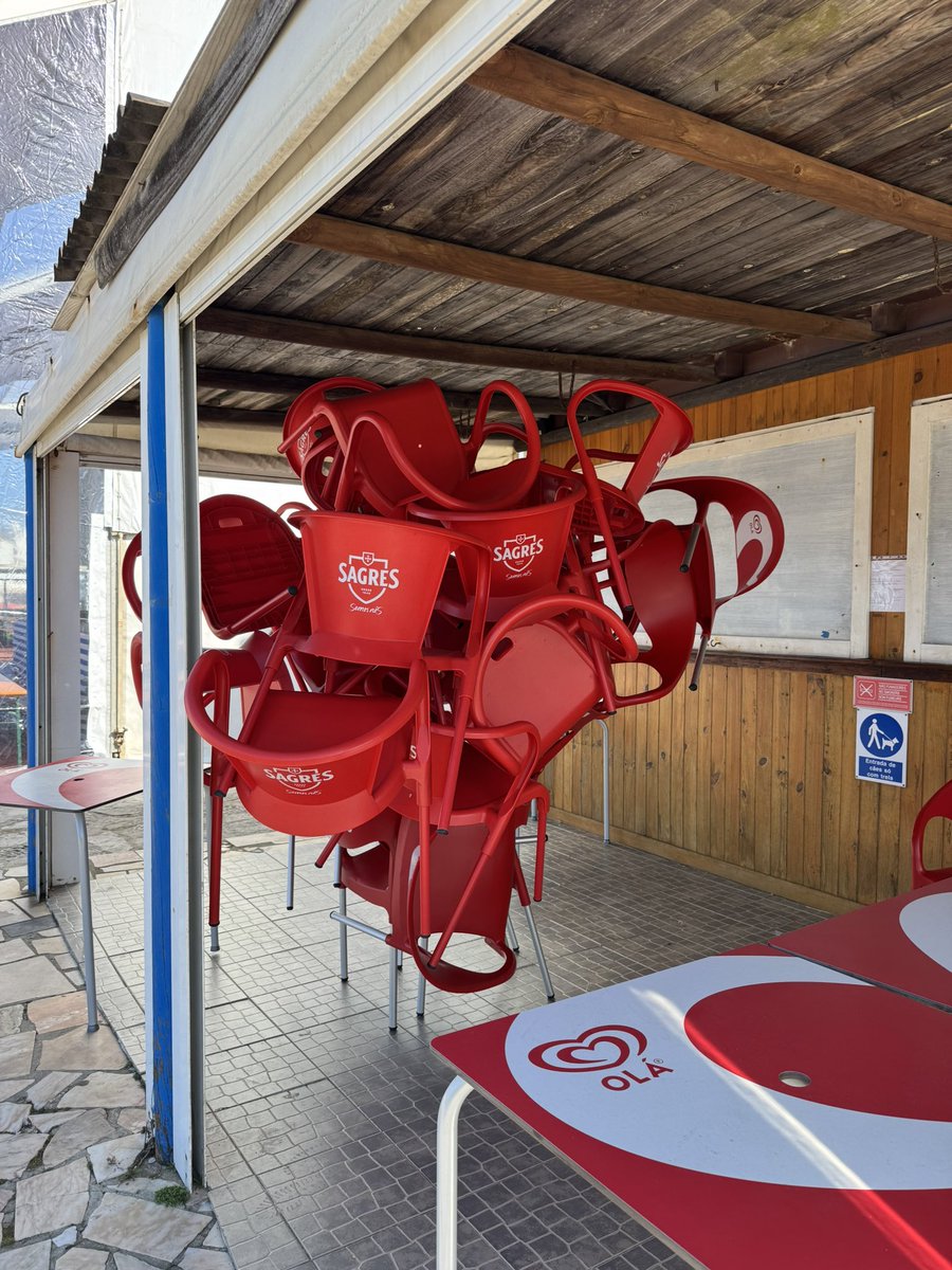 Paula Neves tweet media