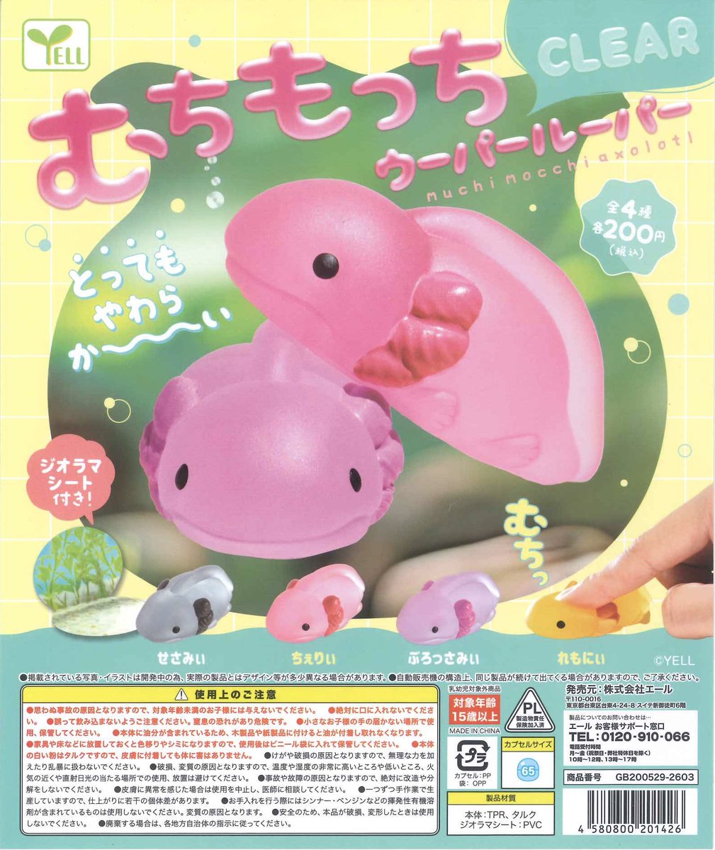 🫧スタッフおすすめ🫧 【むちもっちウーパールーパー～CLEAR