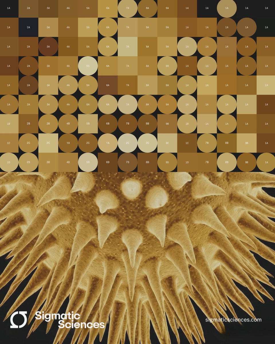 SigmaticScience tweet picture