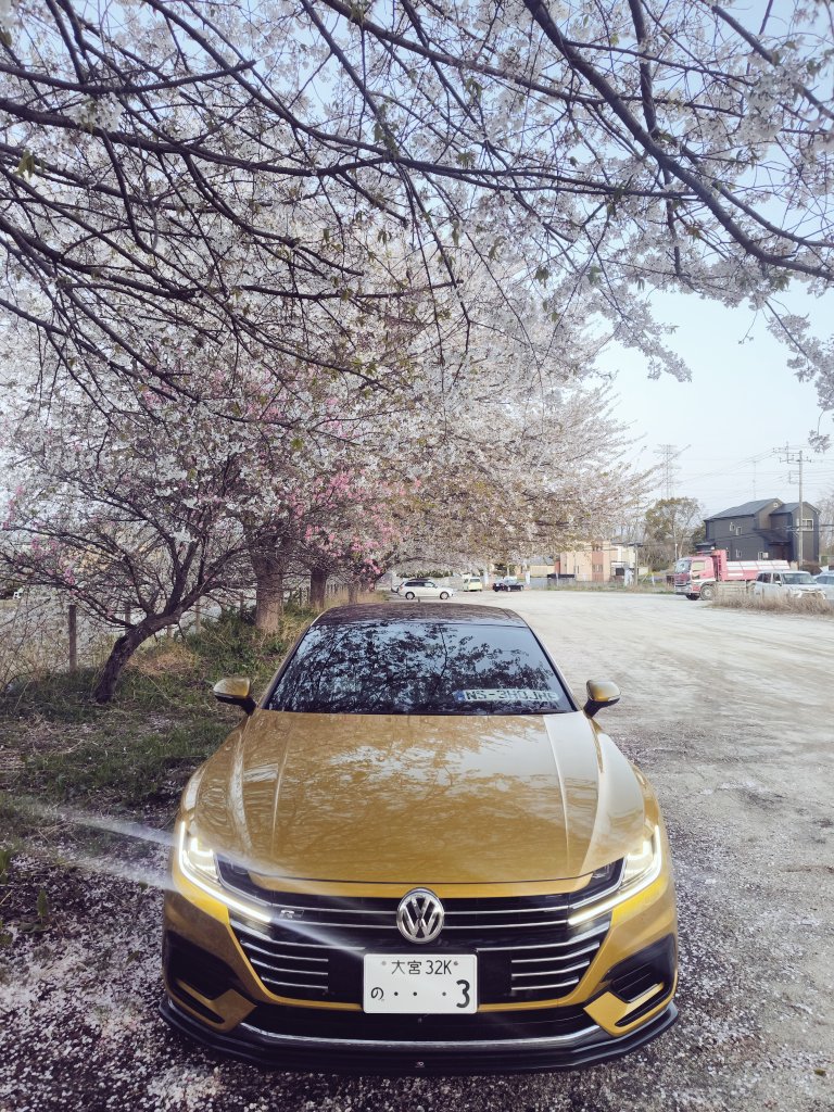 aSoulArteon's tweet photo. #桜と愛車
#アルテオン
#Arteon https://t.co/1kYEgjNDB3