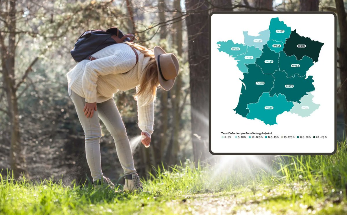 Visicom Maps tweet media