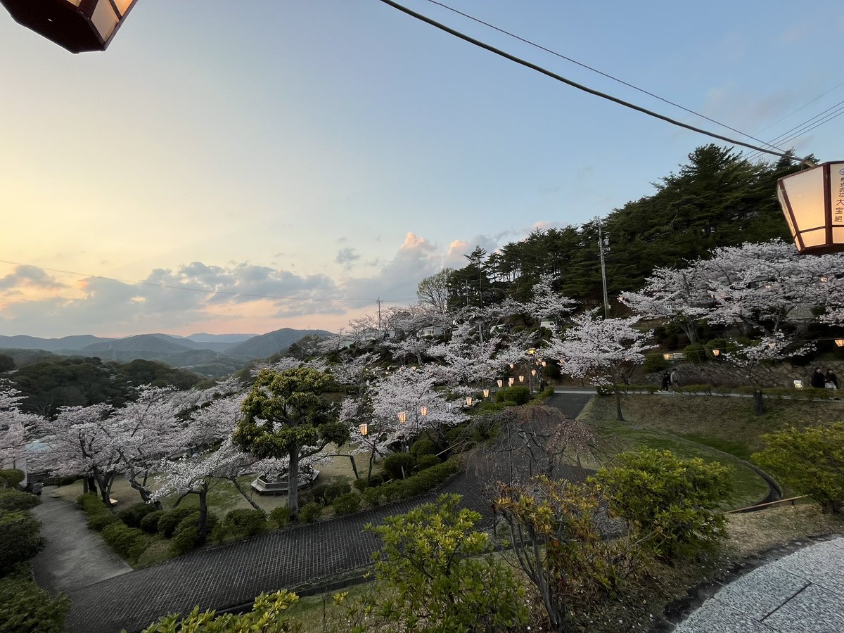 千光寺山ロープウェイ tweet media